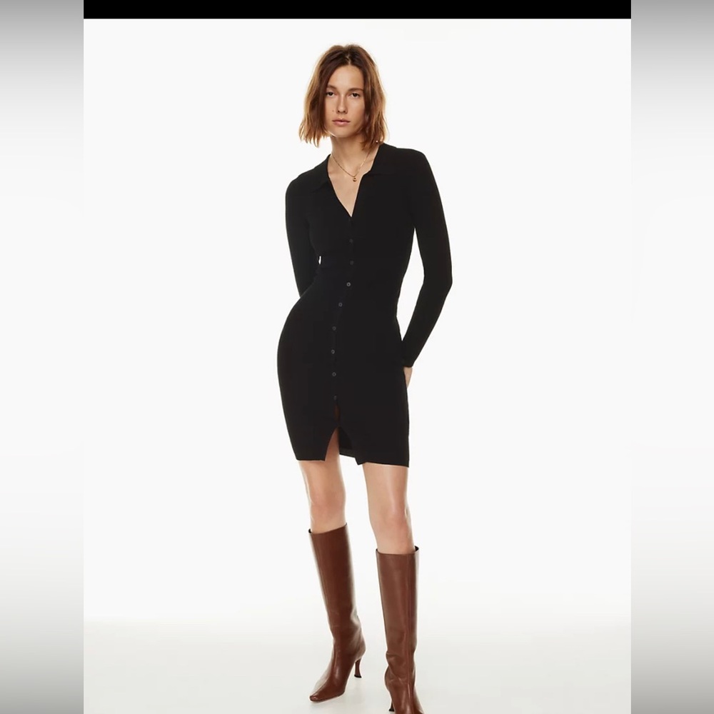 Aritzia Cove dress